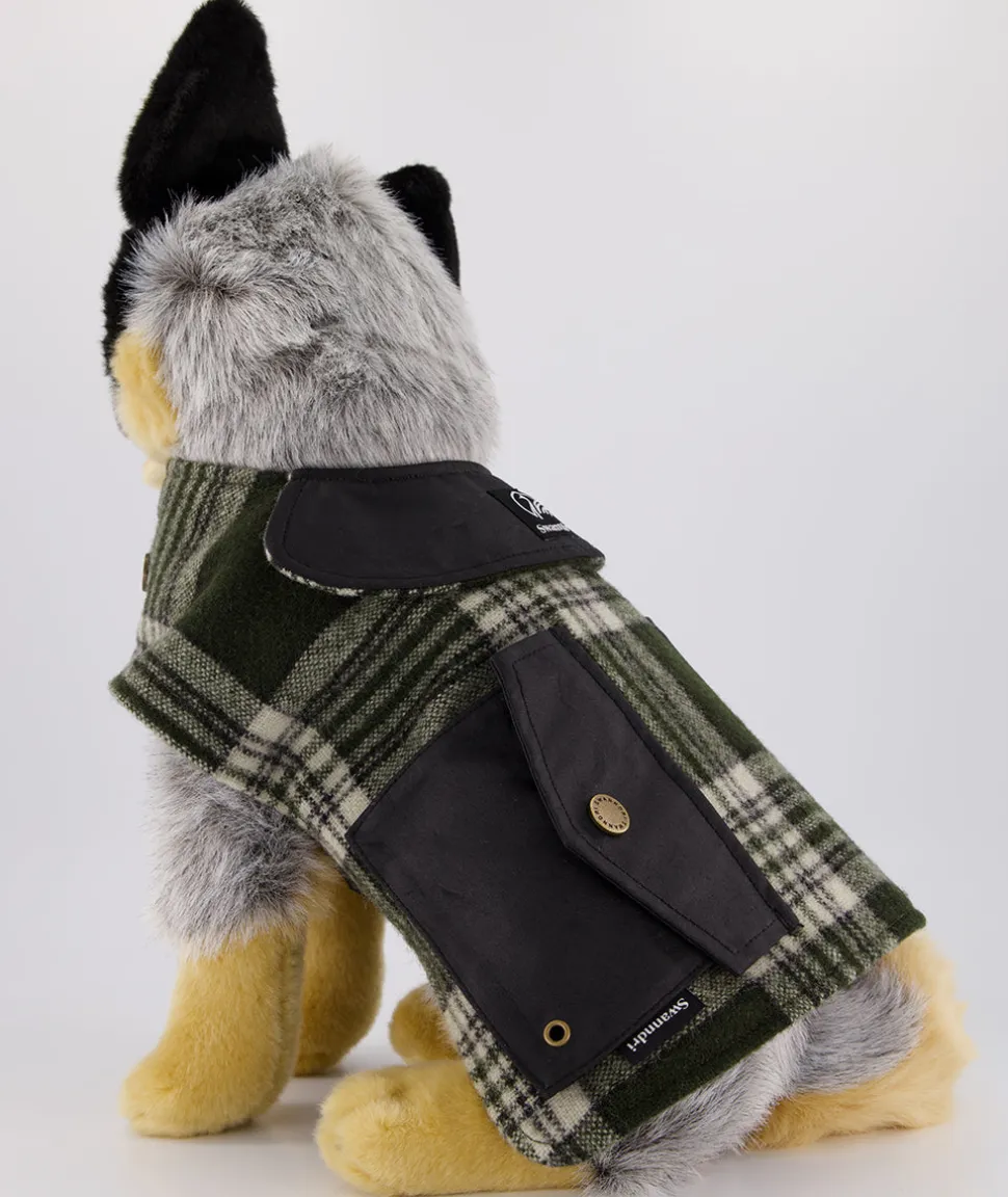 Classic Wool Dog Coat