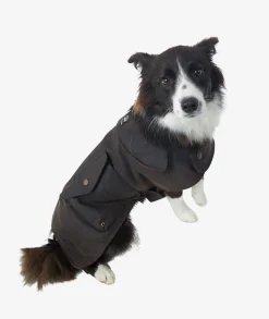 Hunter Oilskin Dog Coat