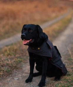 Hunter Oilskin Dog Coat